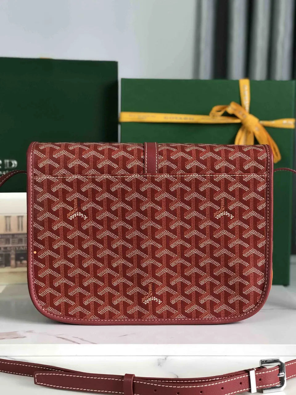 Goyard Sienna Crossbody Bag - Hình 3