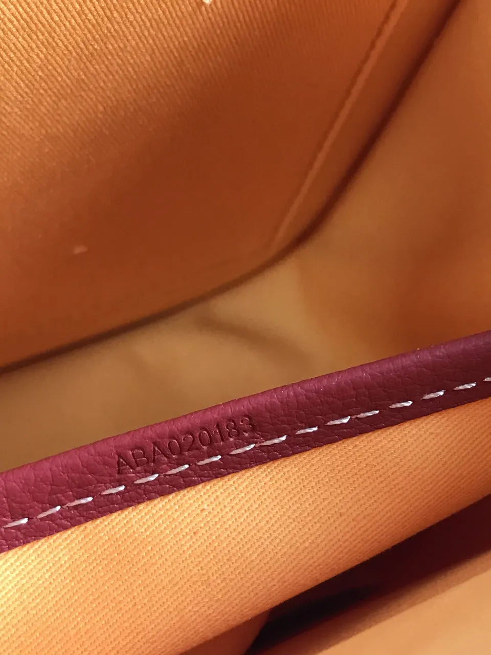 Goyard Sienna Crossbody Bag - Hình 9