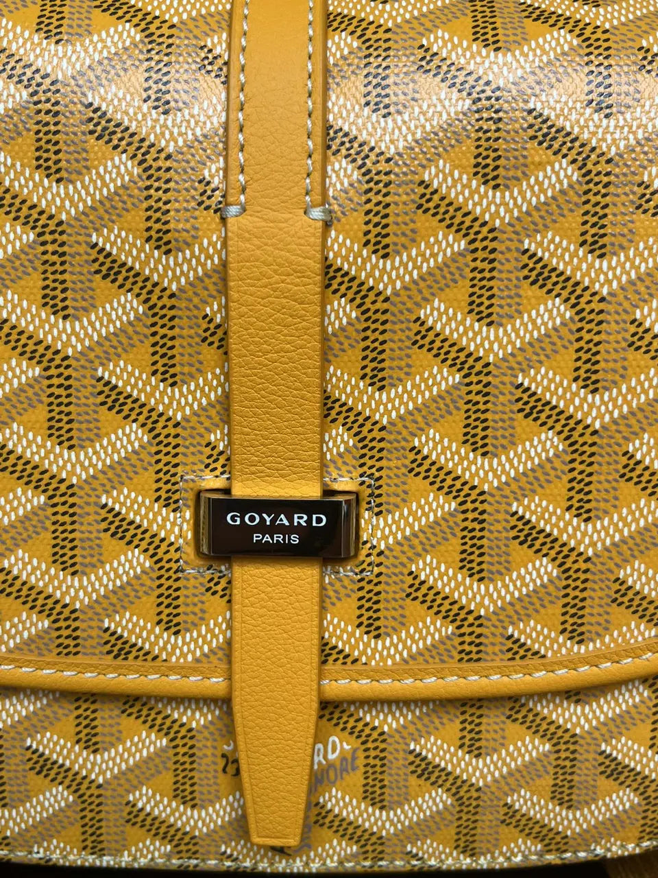 Goyard Gold Saigon Flap Bag - Hình 7