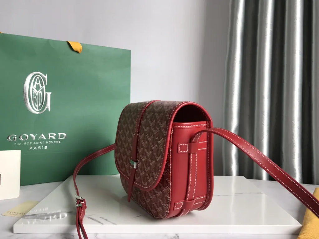Goyard Rust Red Camera Bag - Hình 2