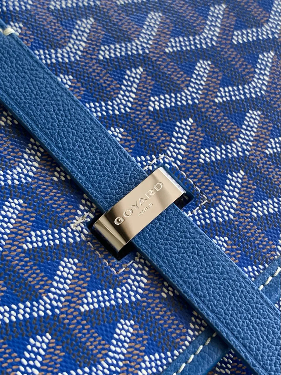 Goyard Turquoise Vendome Crossbody - Hình 6