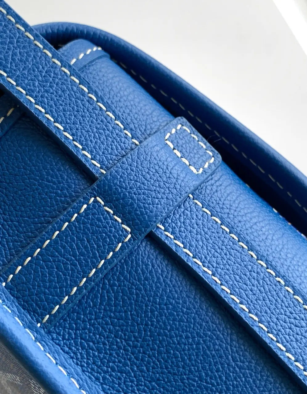 Goyard Turquoise Vendome Crossbody - Hình 7