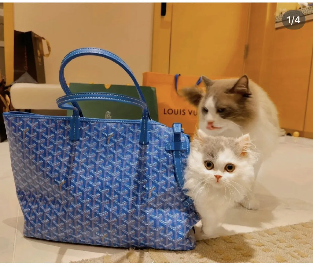 designer Goyard Blue Pet Carrier Tote