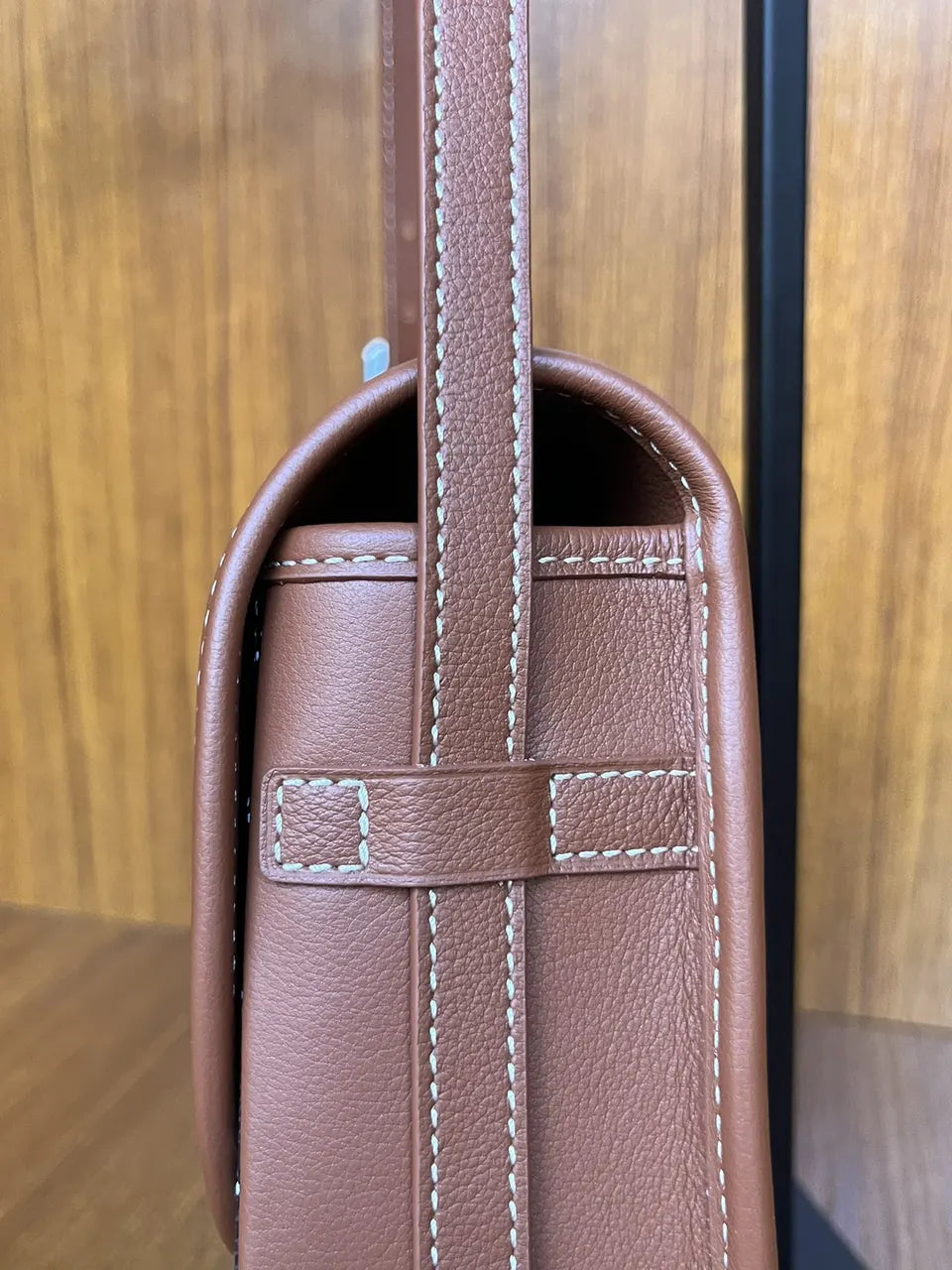 Goyard Black Goyardine Umbrelle Bag - Hình 7