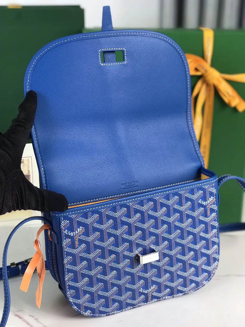 mini Goyard Sky Blue Saigon - Hình 6