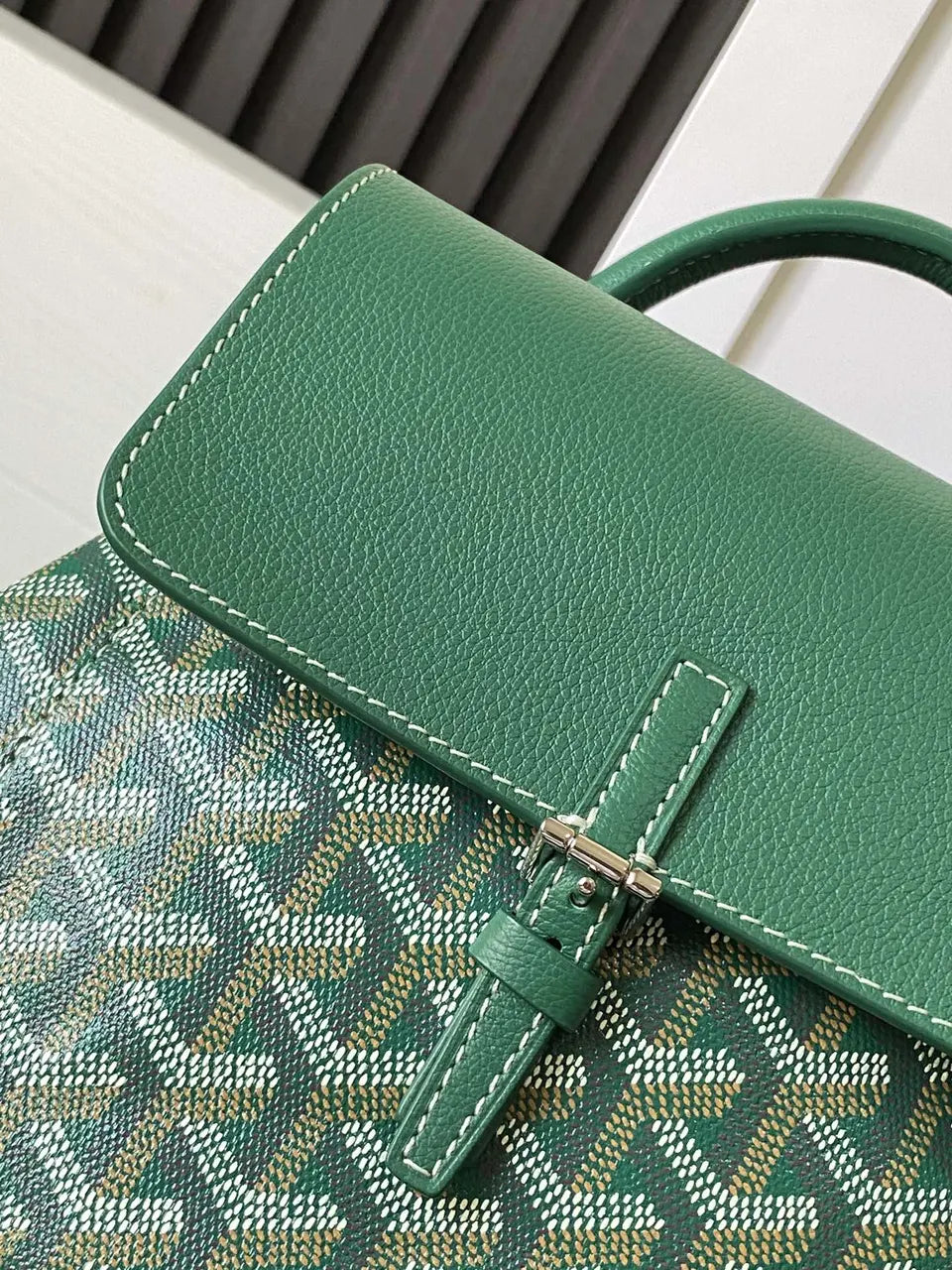 Goyard Green Anjou Backpack - Hình 5