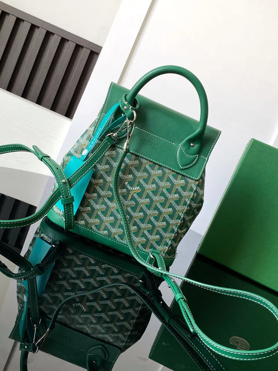 Goyard Green Anjou Backpack - Hình 3