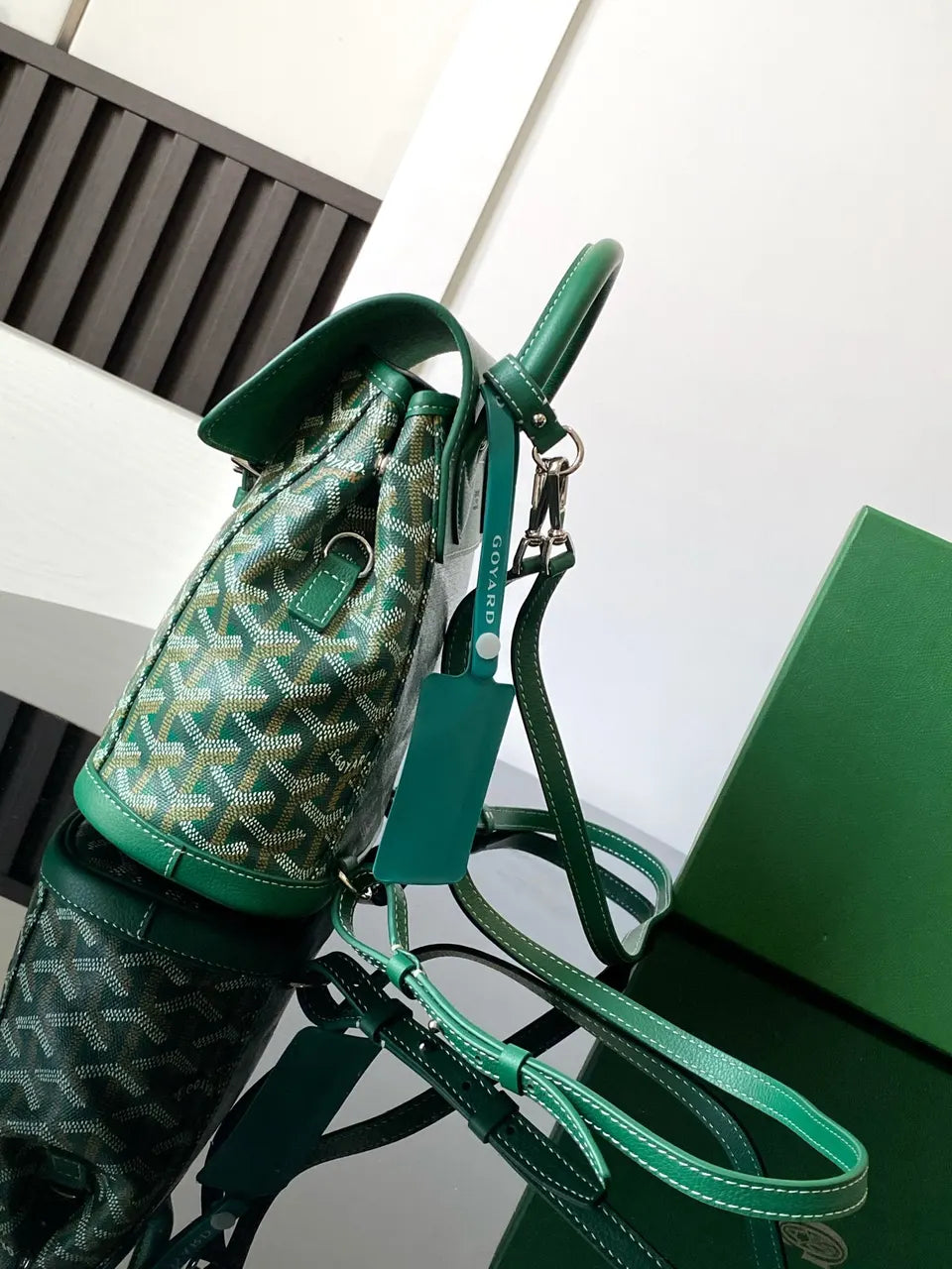 Goyard Green Anjou Backpack - Hình 2