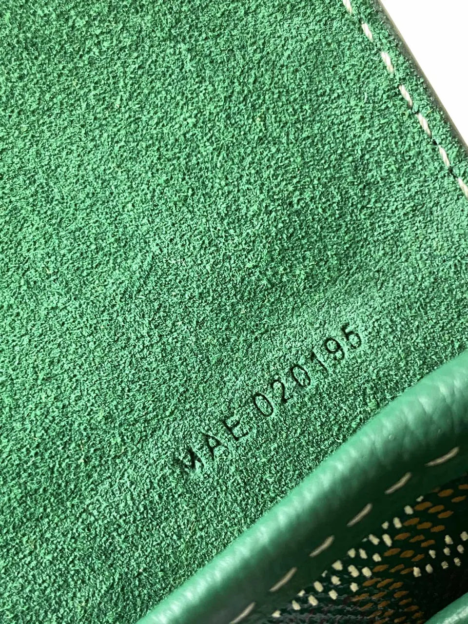 Goyard Green Anjou Backpack - Hình 8