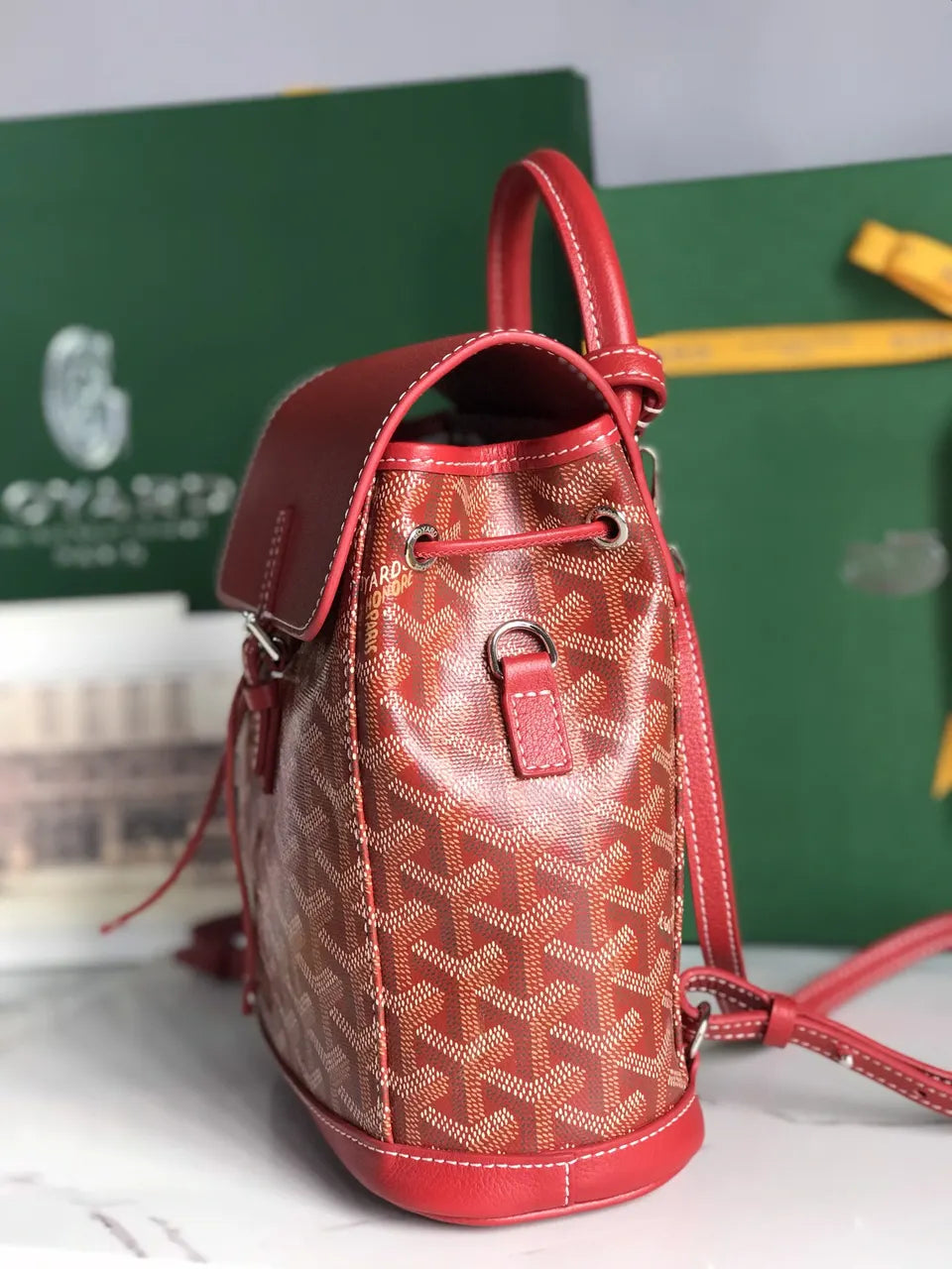 Goyard Red Leather Backpack - Hình 2