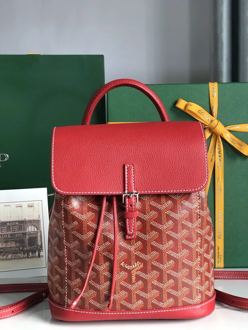 Goyard Red Leather Backpack