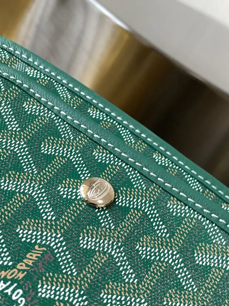 Goyard Green Goyardine Camera Bag - Hình 4