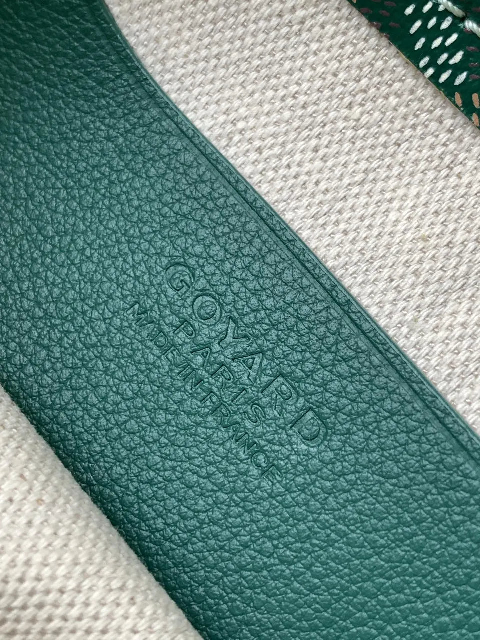 Goyard Green Goyardine Camera Bag - Hình 8