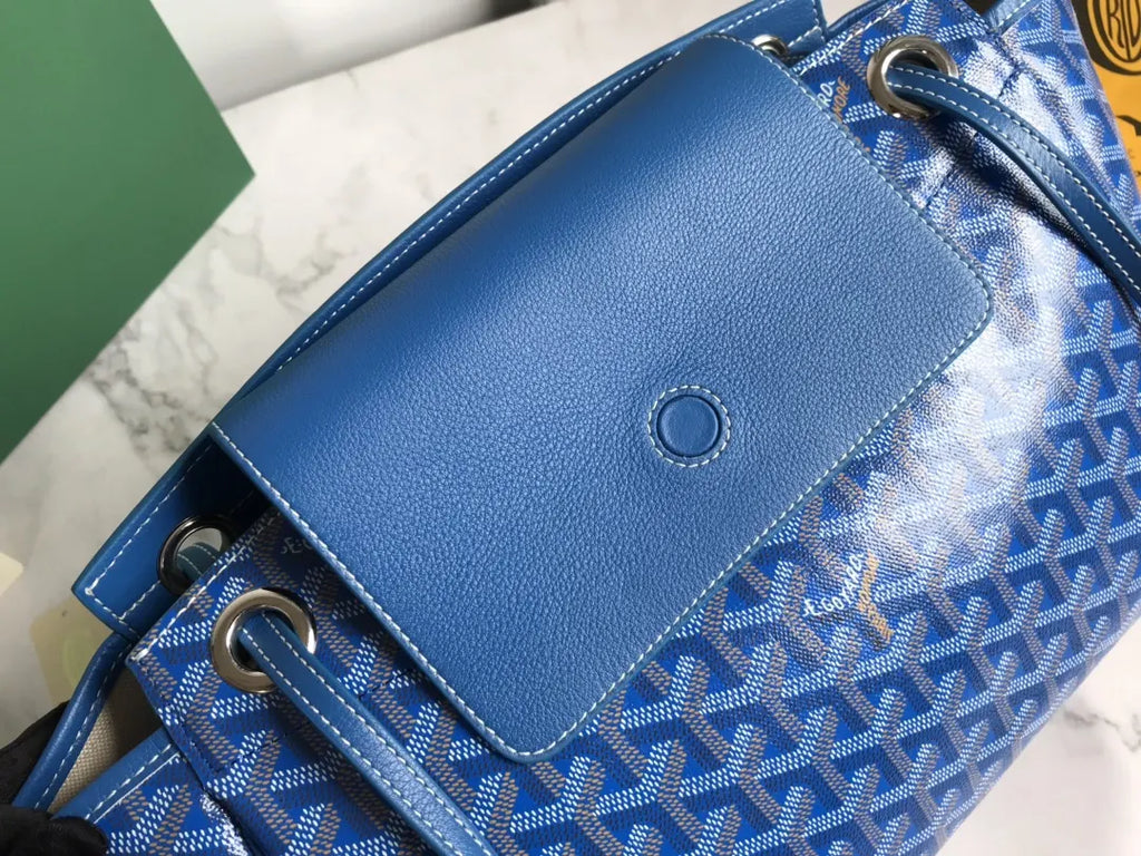 signature Goyard Blue Vendôme Bag - Hình 6