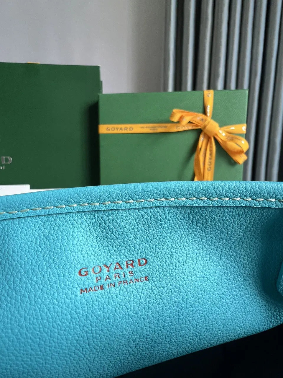 Goyard Turquoise Anjou Mini - Hình 7