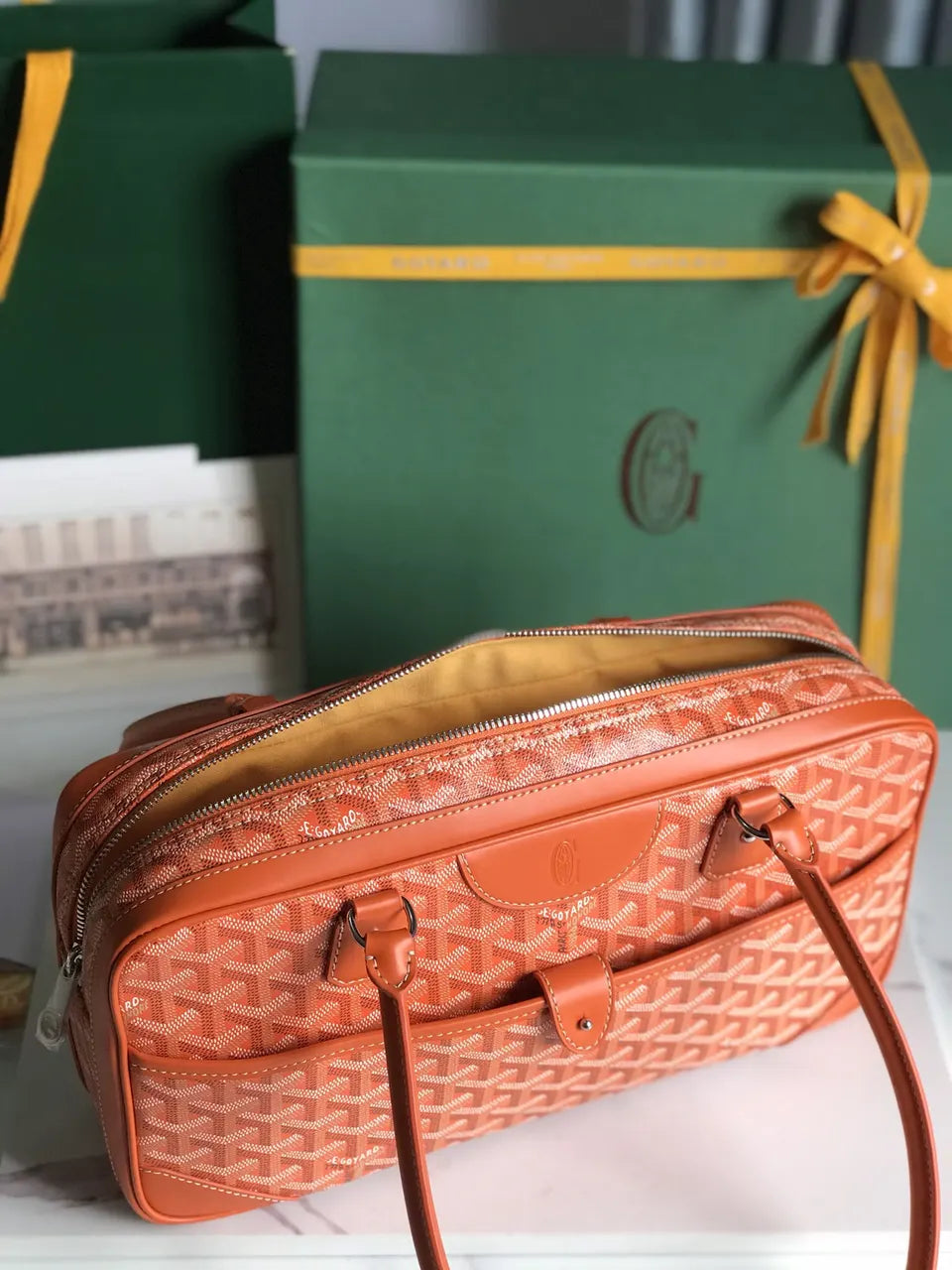 Goyard Orange Aligre Bag - Hình 8