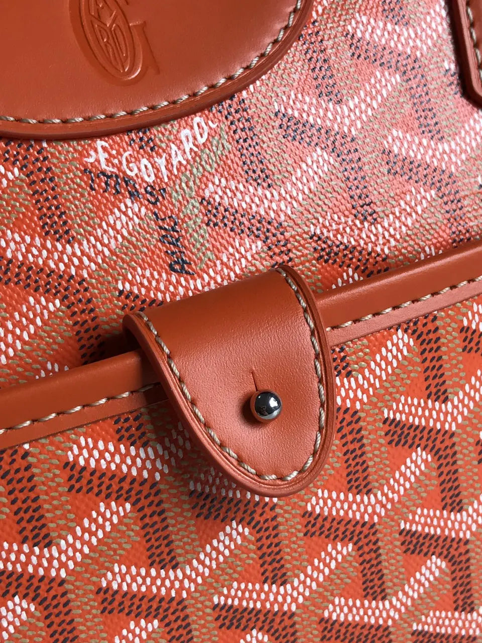 Goyard Orange Aligre Bag - Hình 7