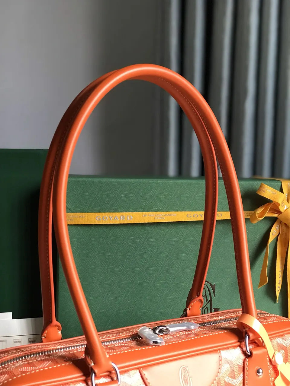 Goyard Orange Aligre Bag - Hình 4