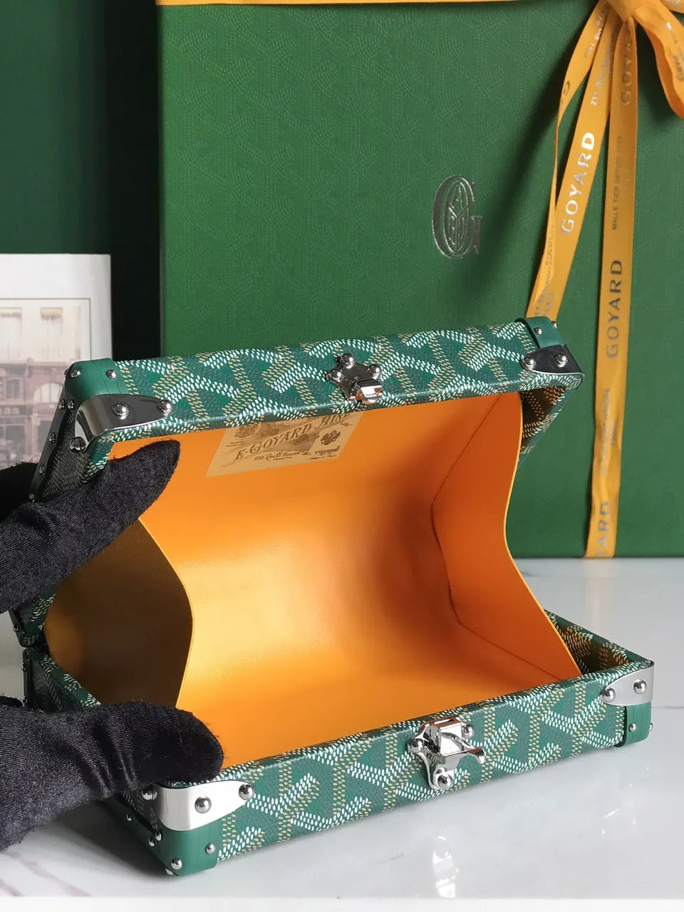 Goyard Vert Saigon Box Bag - Hình 7