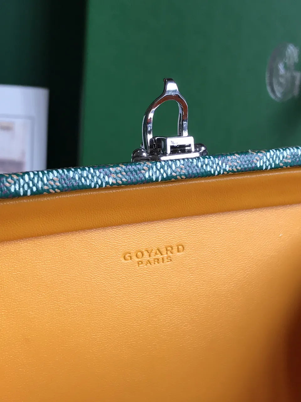 Goyard Vert Saigon Box Bag - Hình 8