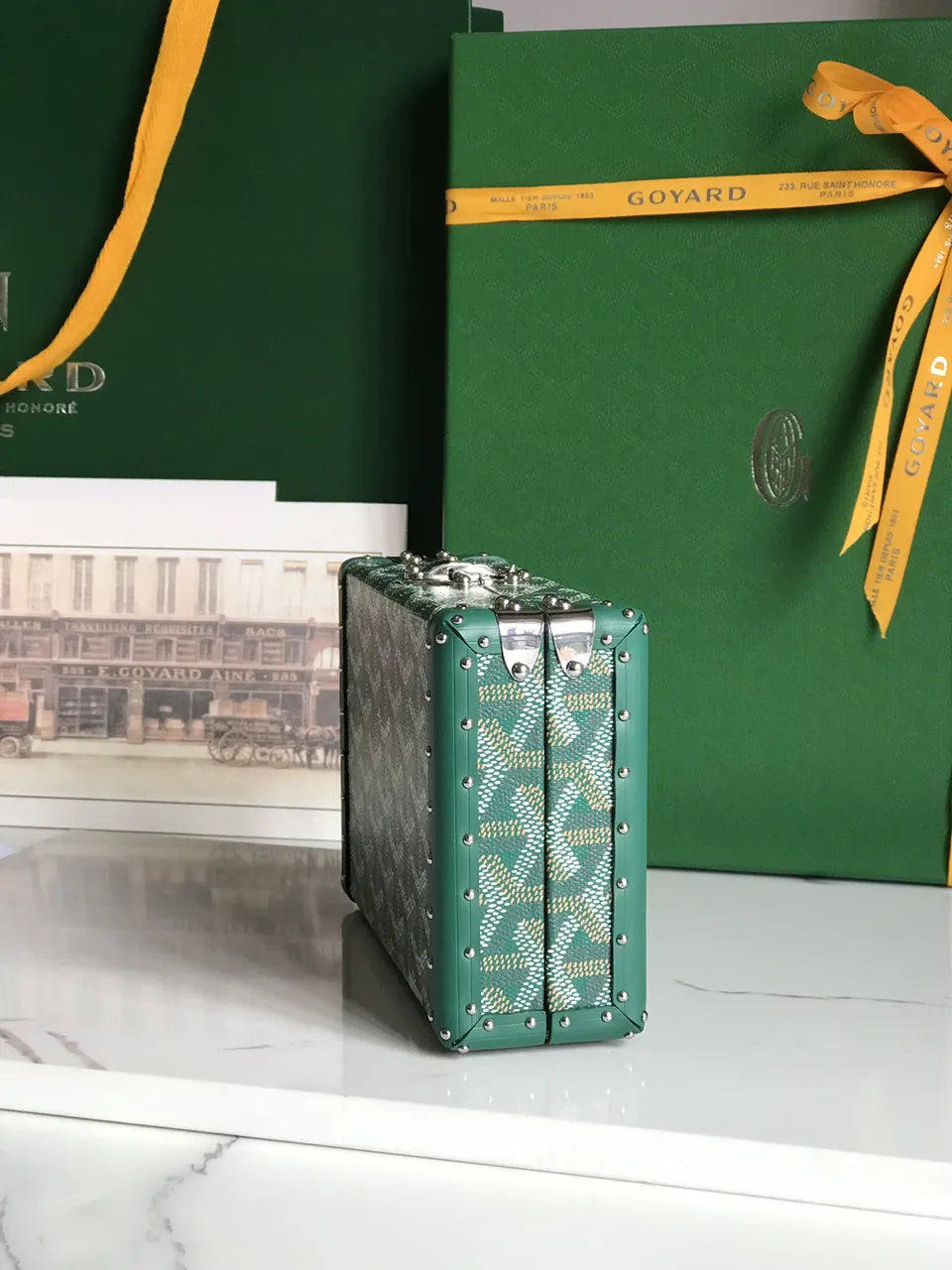 Goyard Vert Saigon Box Bag - Hình 4