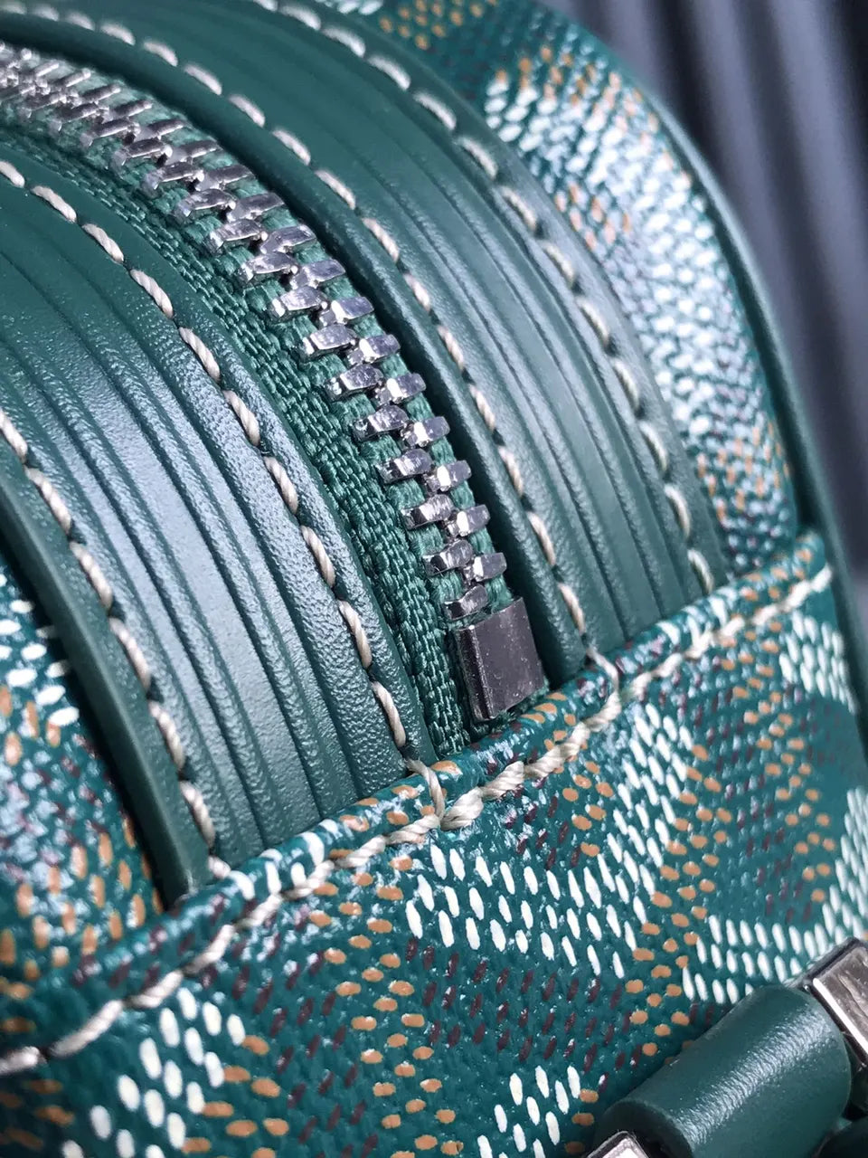 Goyard Green Camera Bag - Hình 6