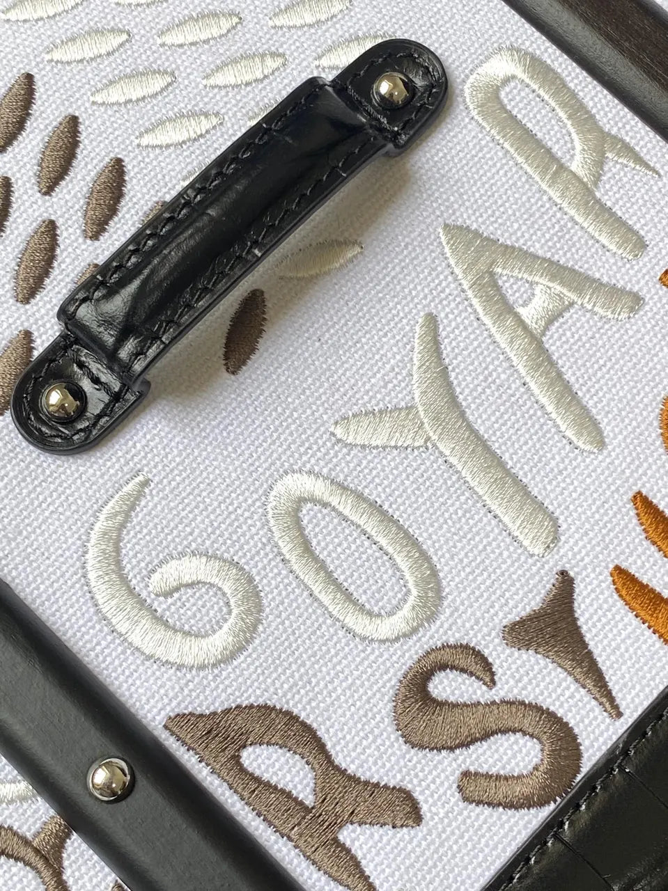 Moynat Parisienne Bag Black Croc - Hình 5