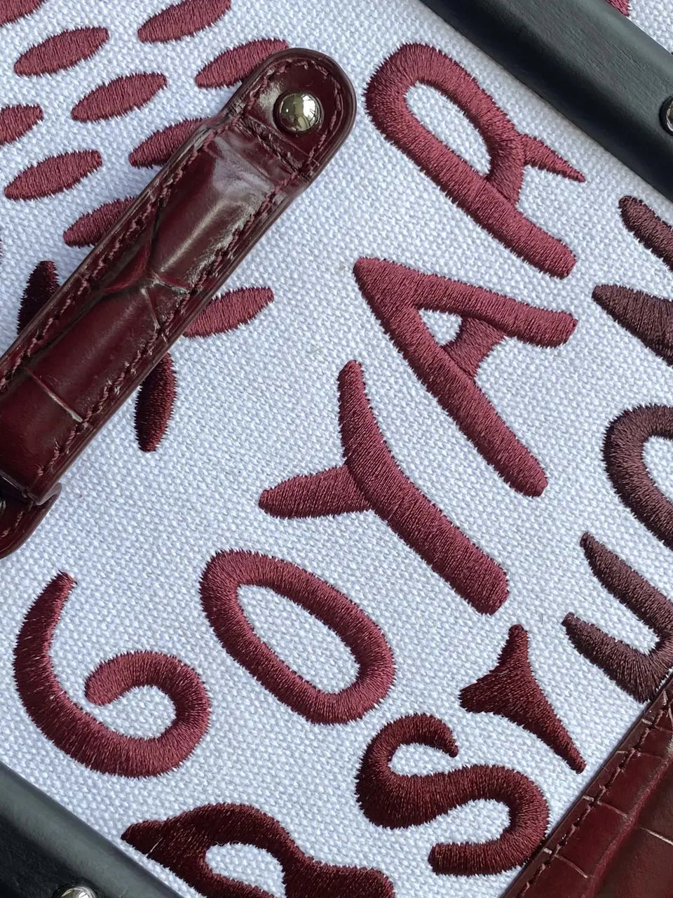 Moynat Burgundy Graffiti Bag - Hình 6