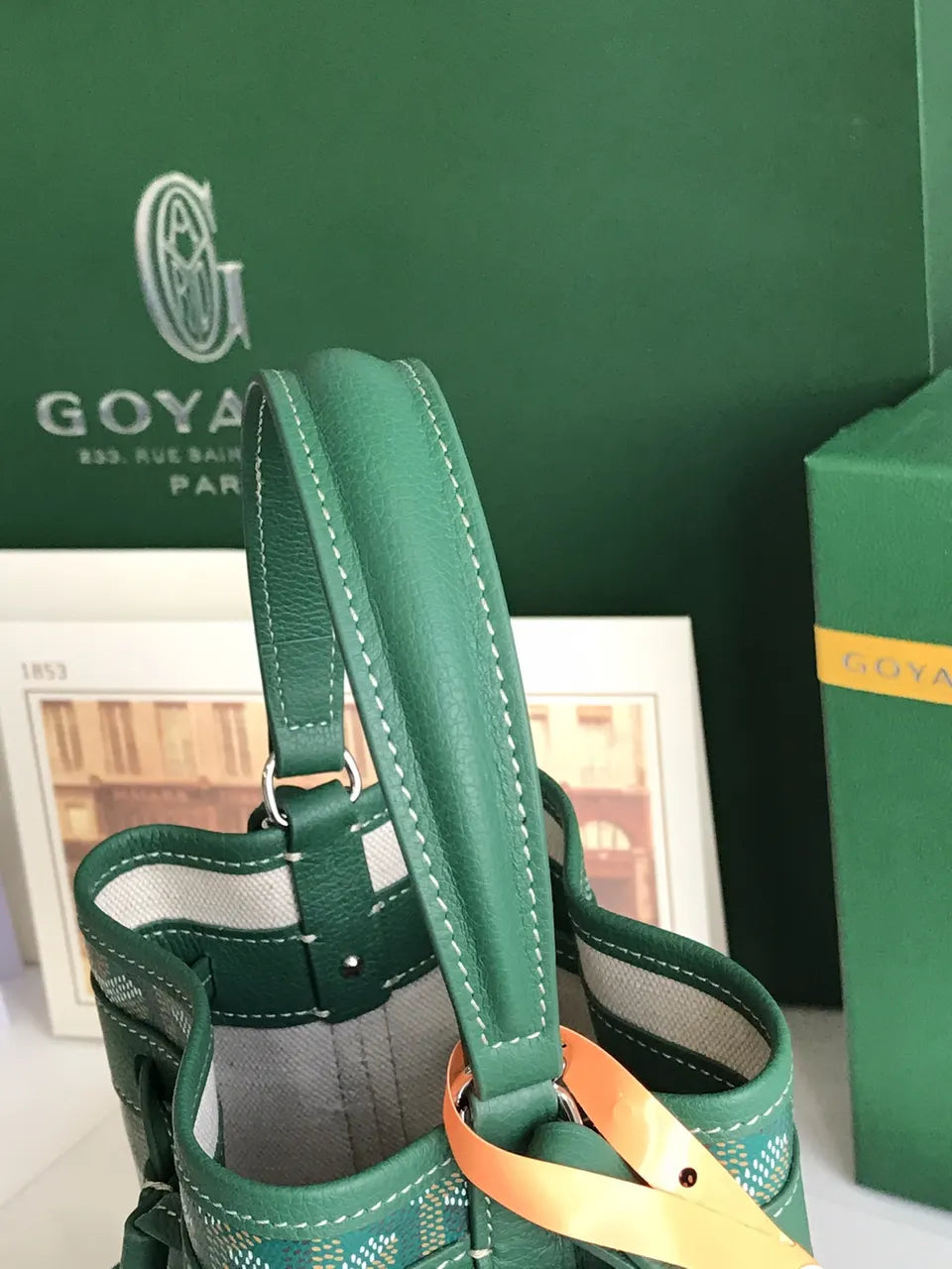 Goyard Vert Green Mini Anjou - Hình 9