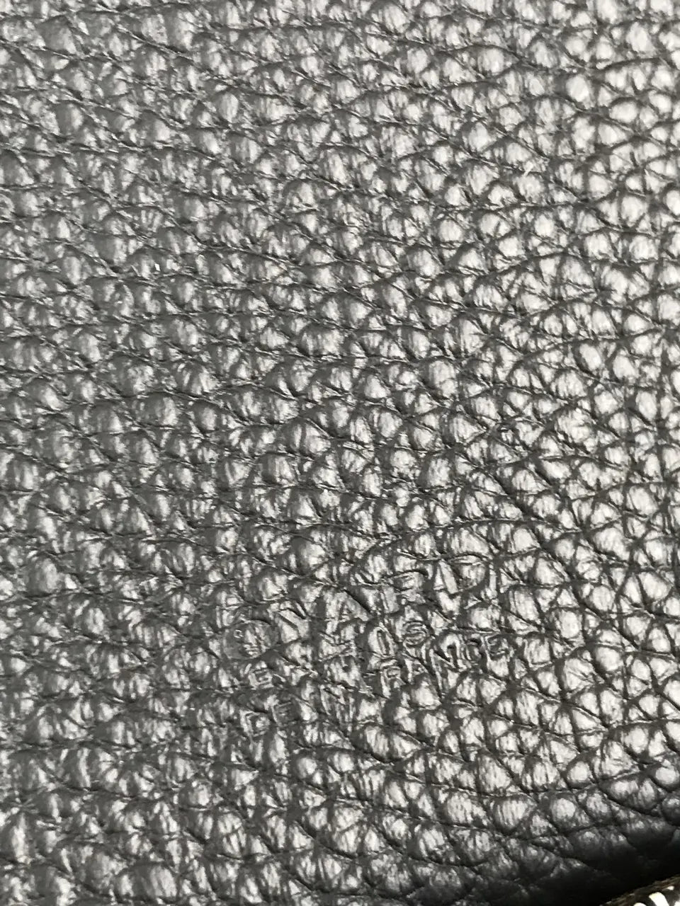 Goyard Mini Camera Bag - Hình 4