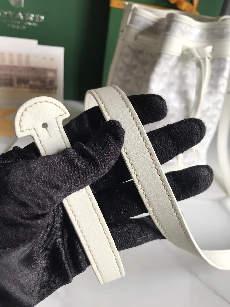 Goyard White Canvas Seau Bag - Hình 8