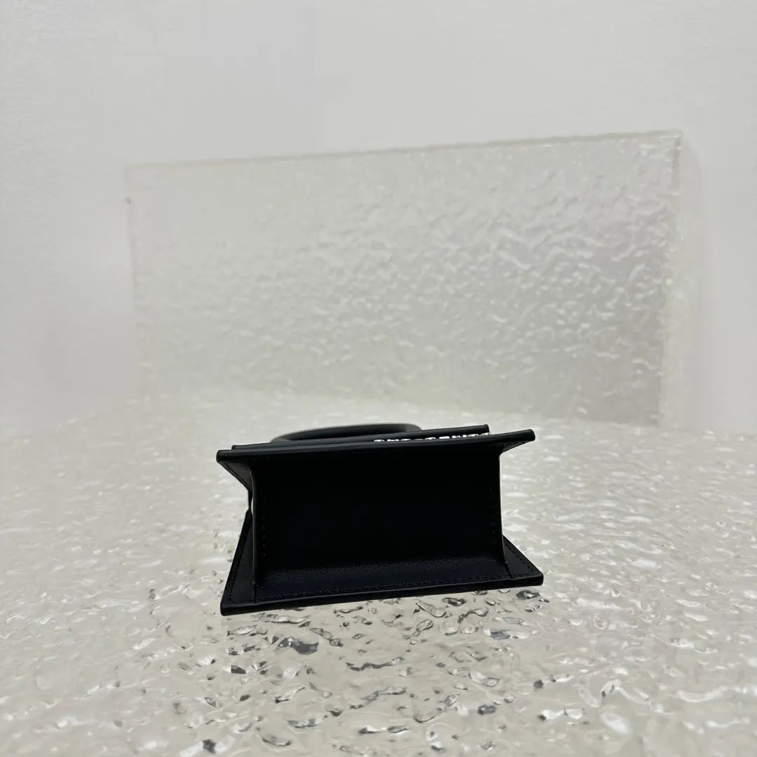 Jacquemus Black Mini Bag - Hình 6
