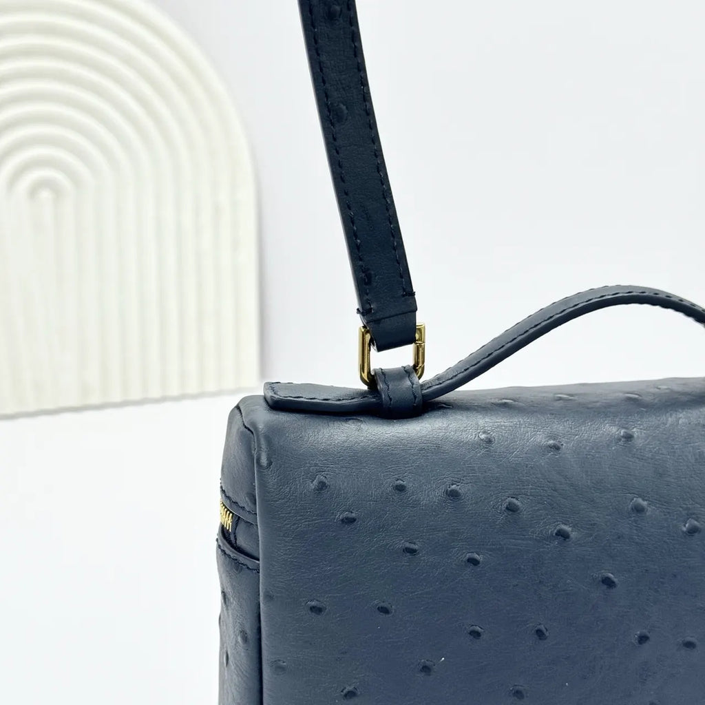 handle Loro Piana Black Ostrich Vanity - Hình 8