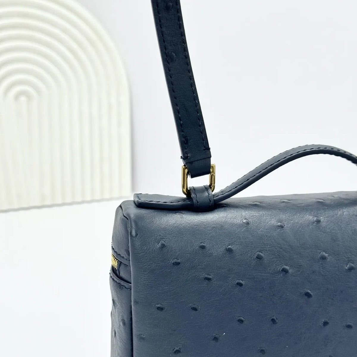 handle Loro Piana Black Ostrich Vanity - Hình 8