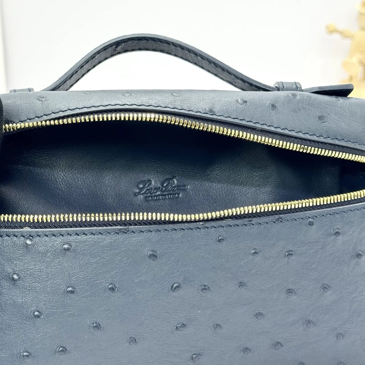 handle Loro Piana Black Ostrich Vanity - Hình 9