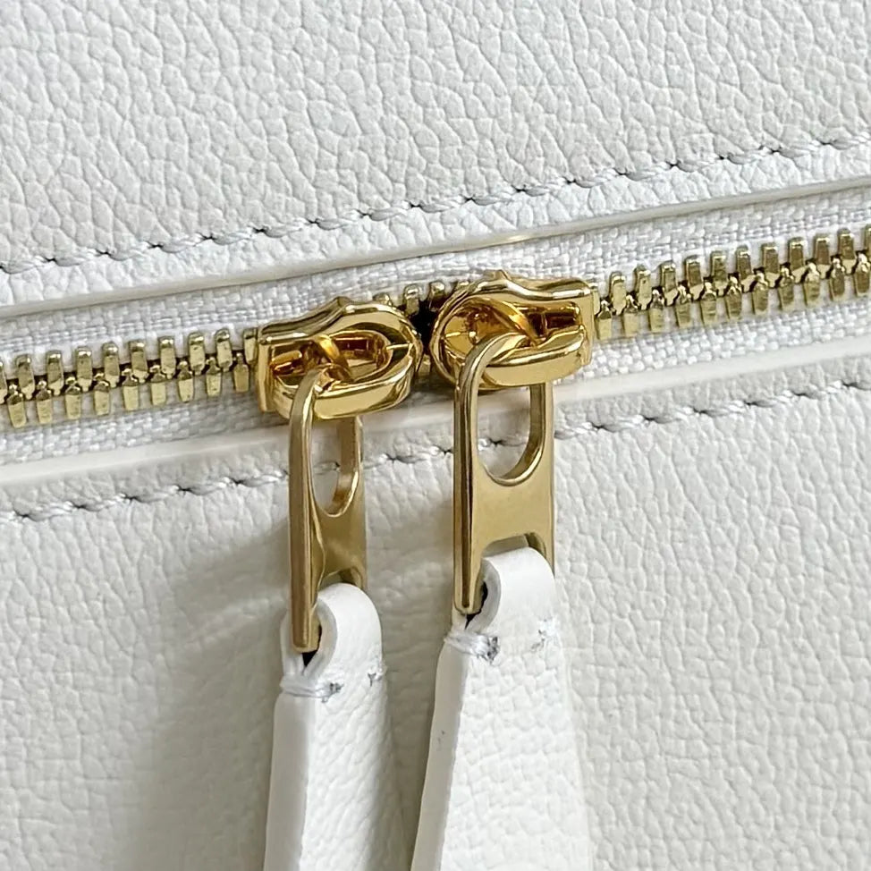 Loro Piana White Leather Box Bag - Hình 8