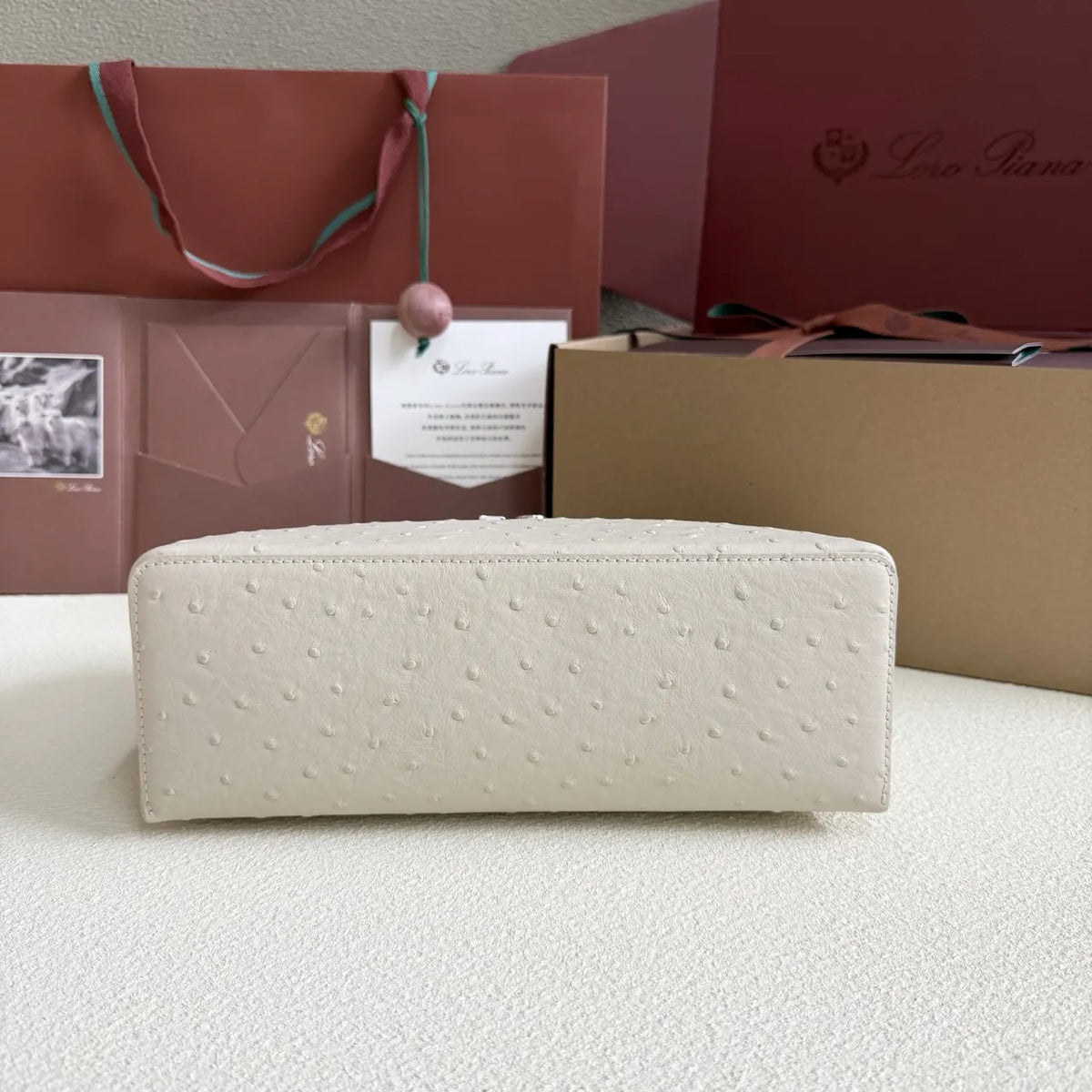 structured Loro Piana Ivory Ostrich Vanity - Hình 3