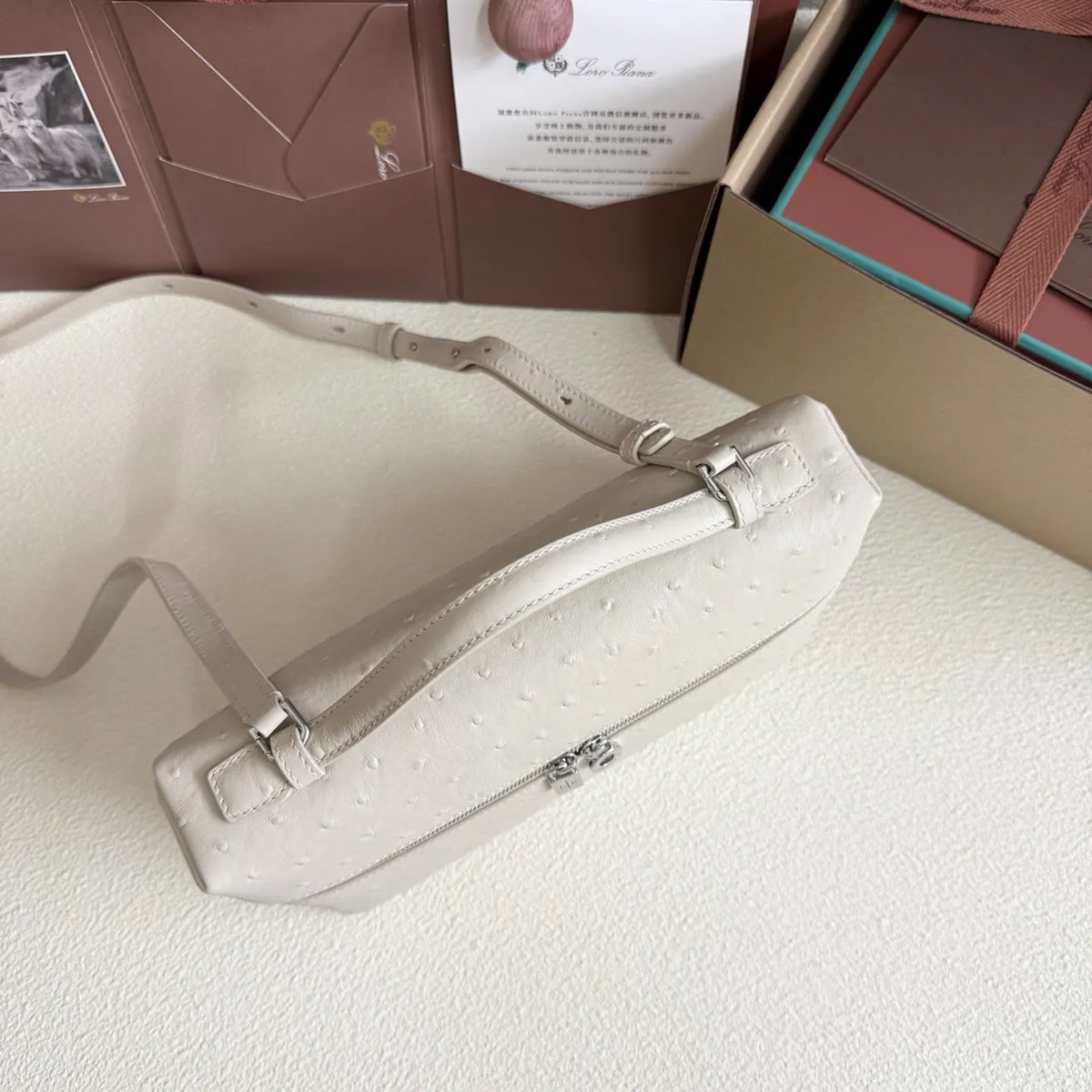 structured Loro Piana Ivory Ostrich Vanity - Hình 4