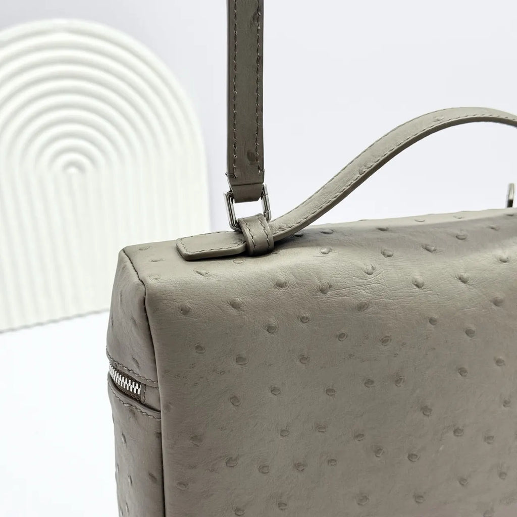 Loro Piana Stone Grey Ostrich Handbag - Hình 7