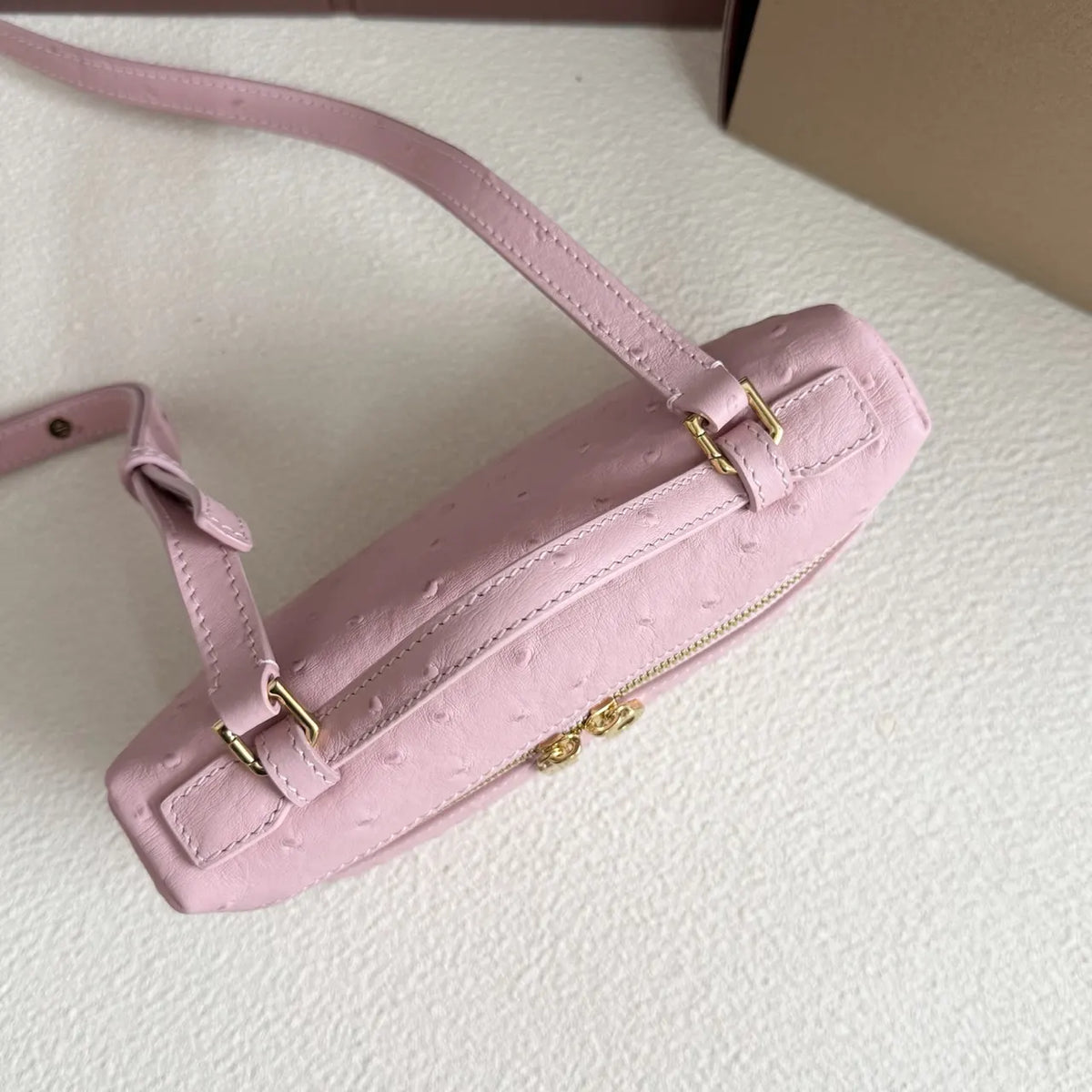 Loro Piana Pink Ostrich Vanity - Hình 5