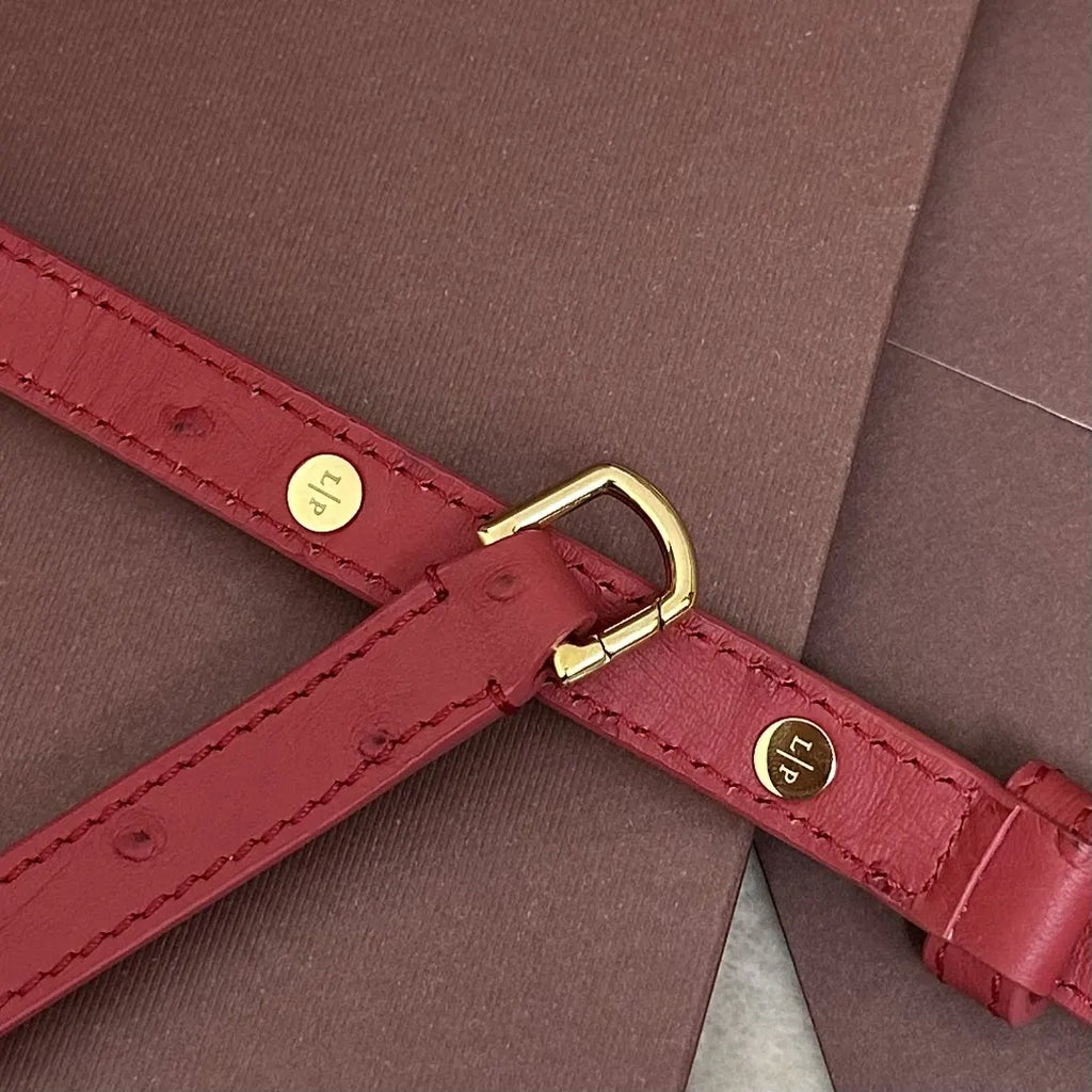 Loro Piana Coral Ostrich Vanity - Hình 8