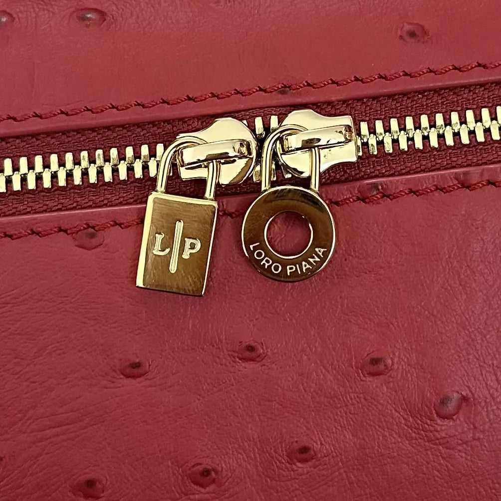 Loro Piana Coral Ostrich Vanity - Hình 7
