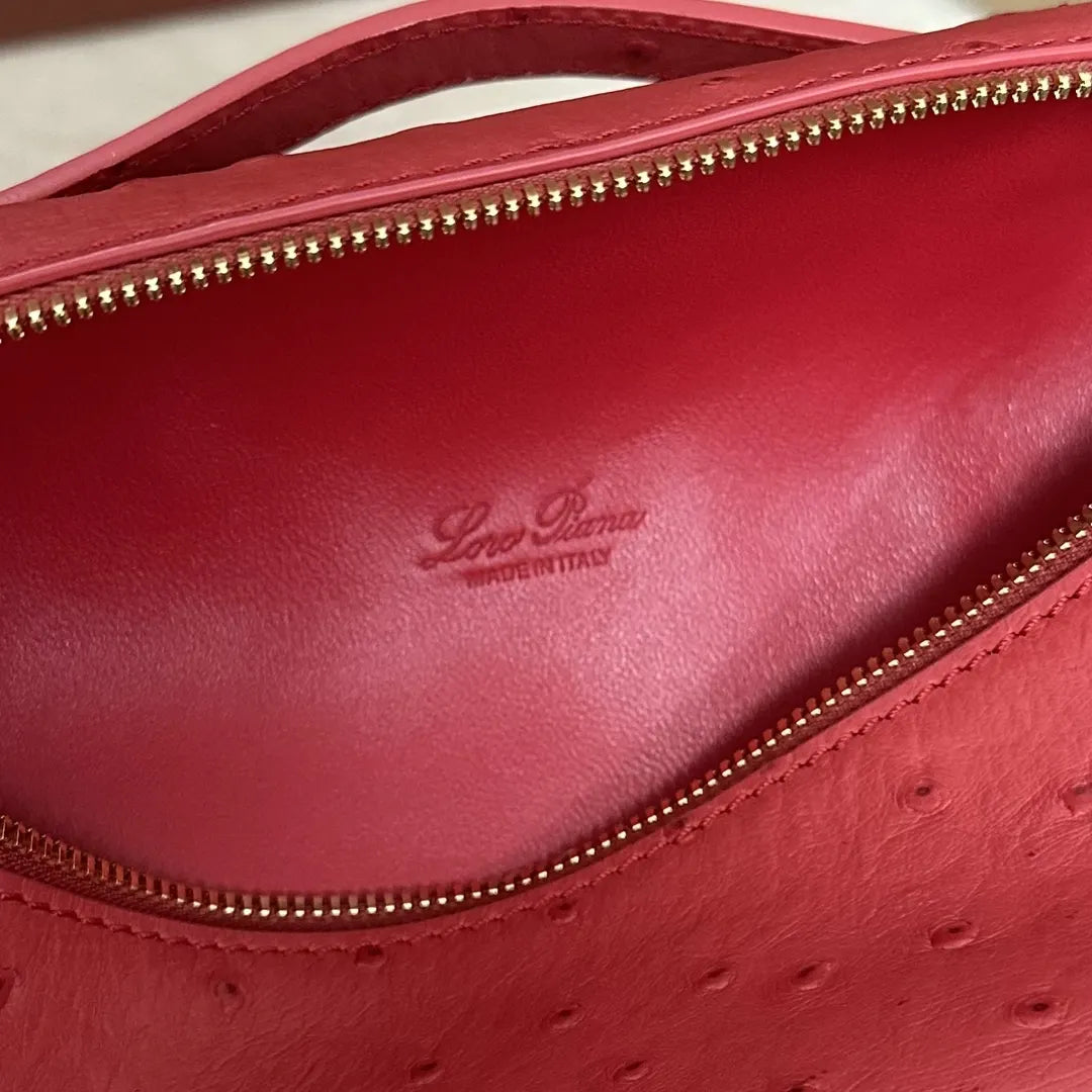 Loro Piana Coral Ostrich Vanity - Hình 9
