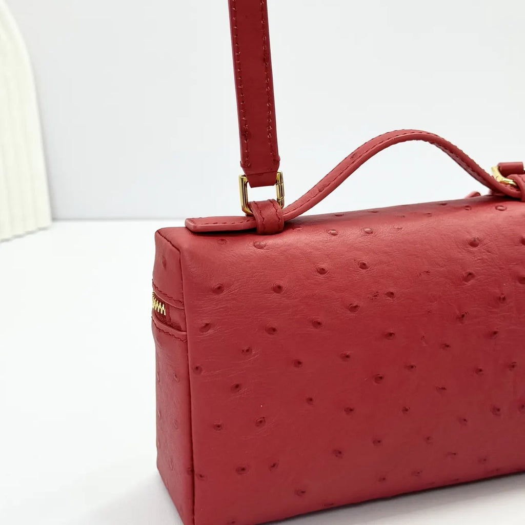Loro Piana Scarlet Ostrich Bag - Hình 8