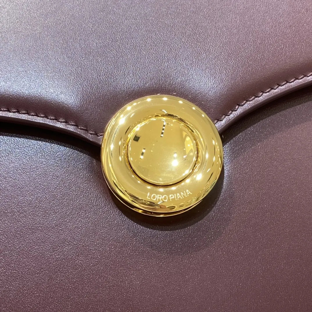 Loro Piana Claret Shoulder Bag - Hình 4