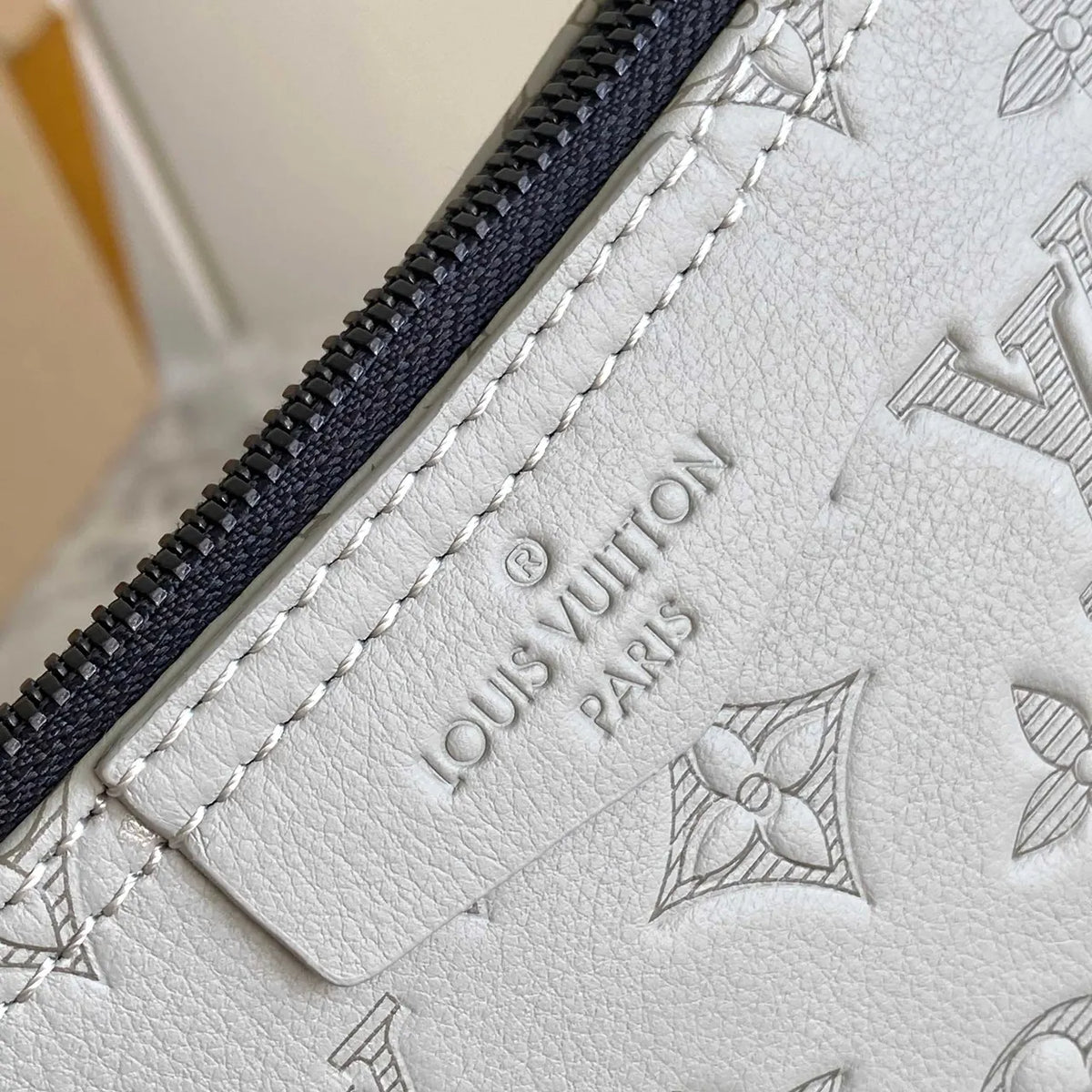 LV White Embossed Hobo Bag - Hình 2