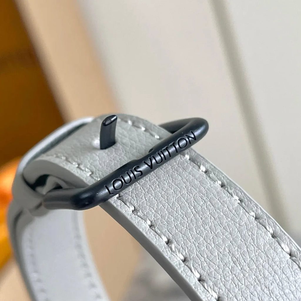 Louis Vuitton Gray Crossbody Bag - Hình 5