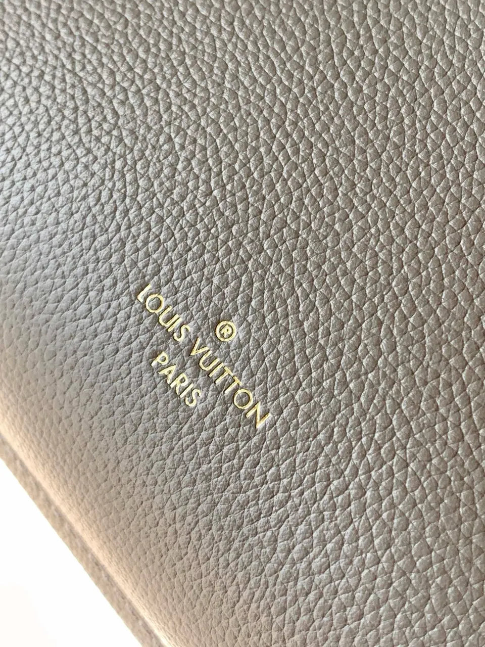LV Grey Taurillon Shoulder Bag - Hình 3