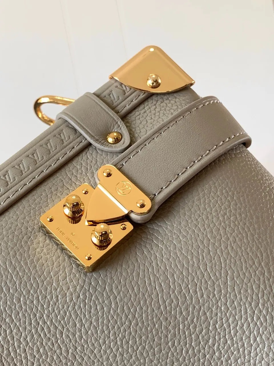 LV Grey Taurillon Shoulder Bag - Hình 2